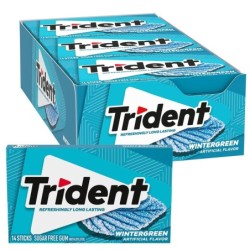 Trident Wintergreen 31g